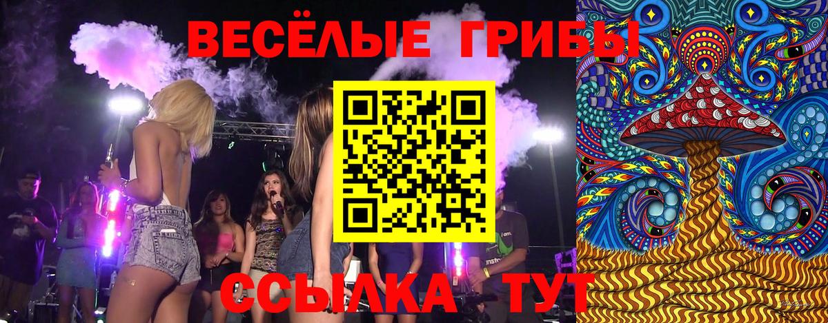 наркотики  Псилоцибиновые грибы GOLDEN TEACHER  Вход с VPN  Чебоксары  Галлюциногенные грибы мухоморы 